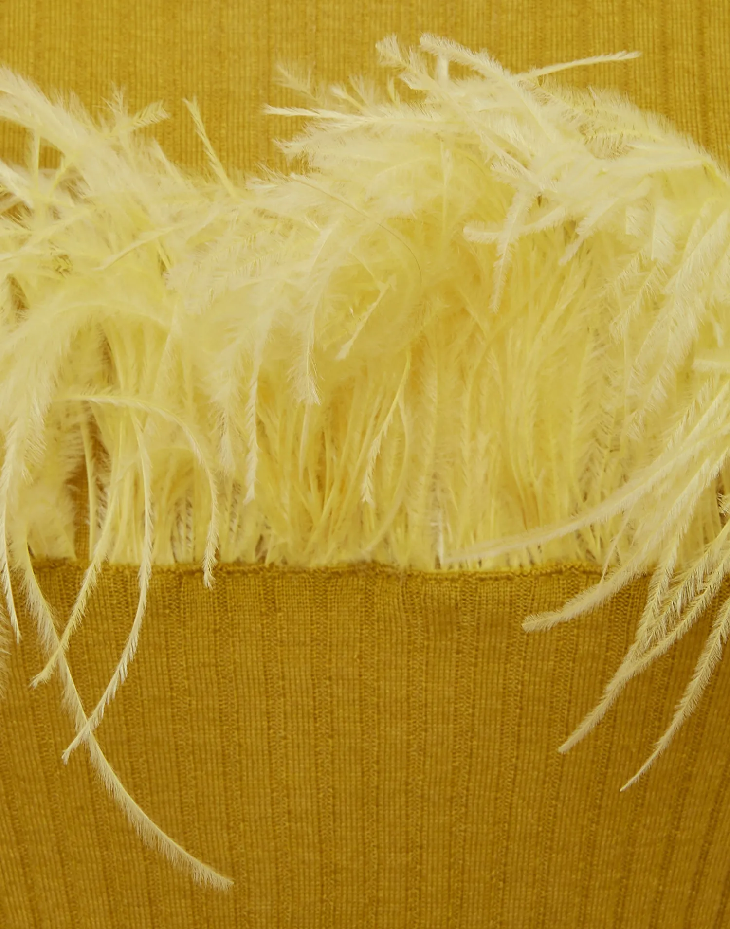 La DoubleJ Maglieria<High Kick TeeLime in Ribbed Silk Cashmere With Feathers