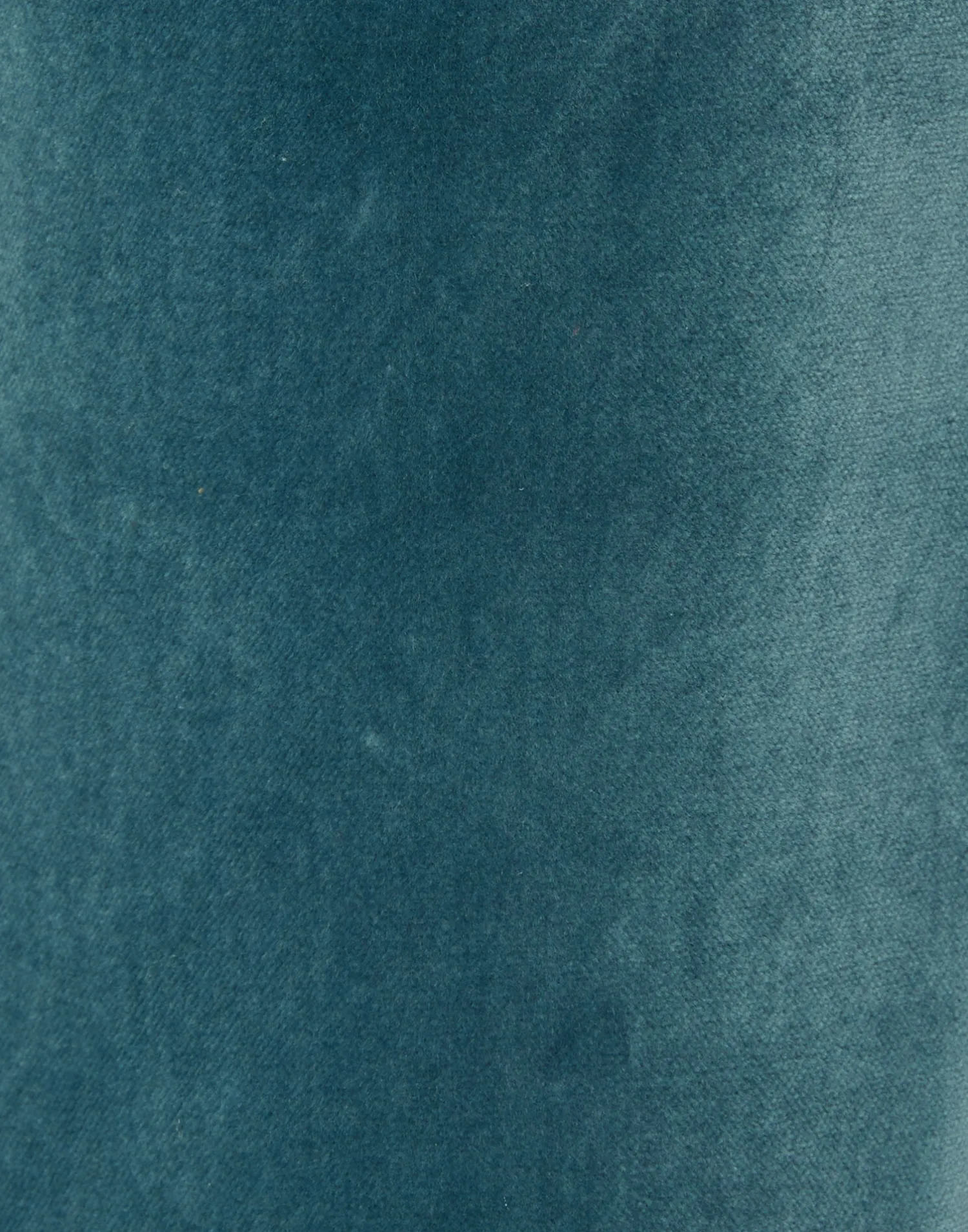 La DoubleJ Pantaloni E Shorts<24/7 PantsLight Blue in Velvet With Feathers